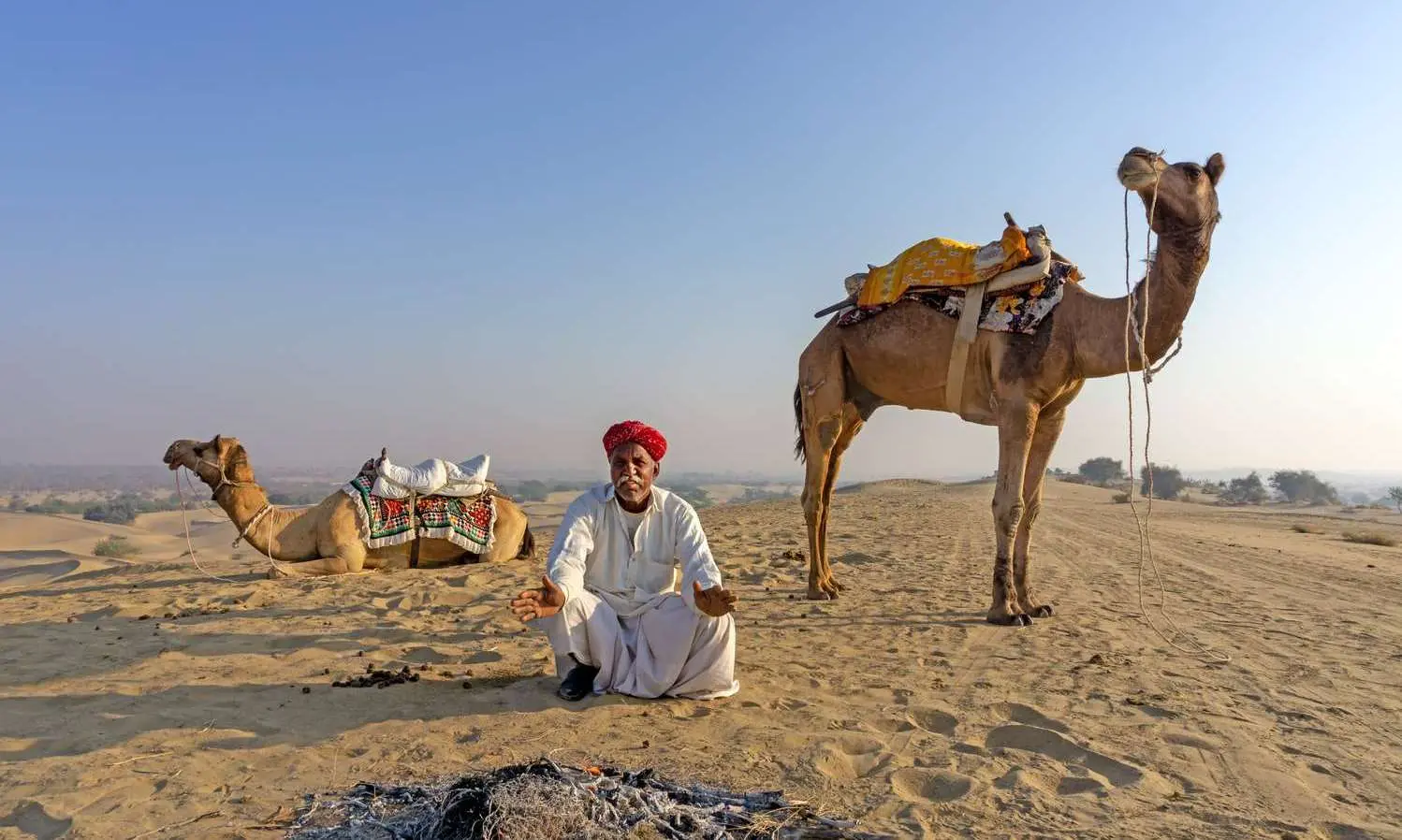 camel safari