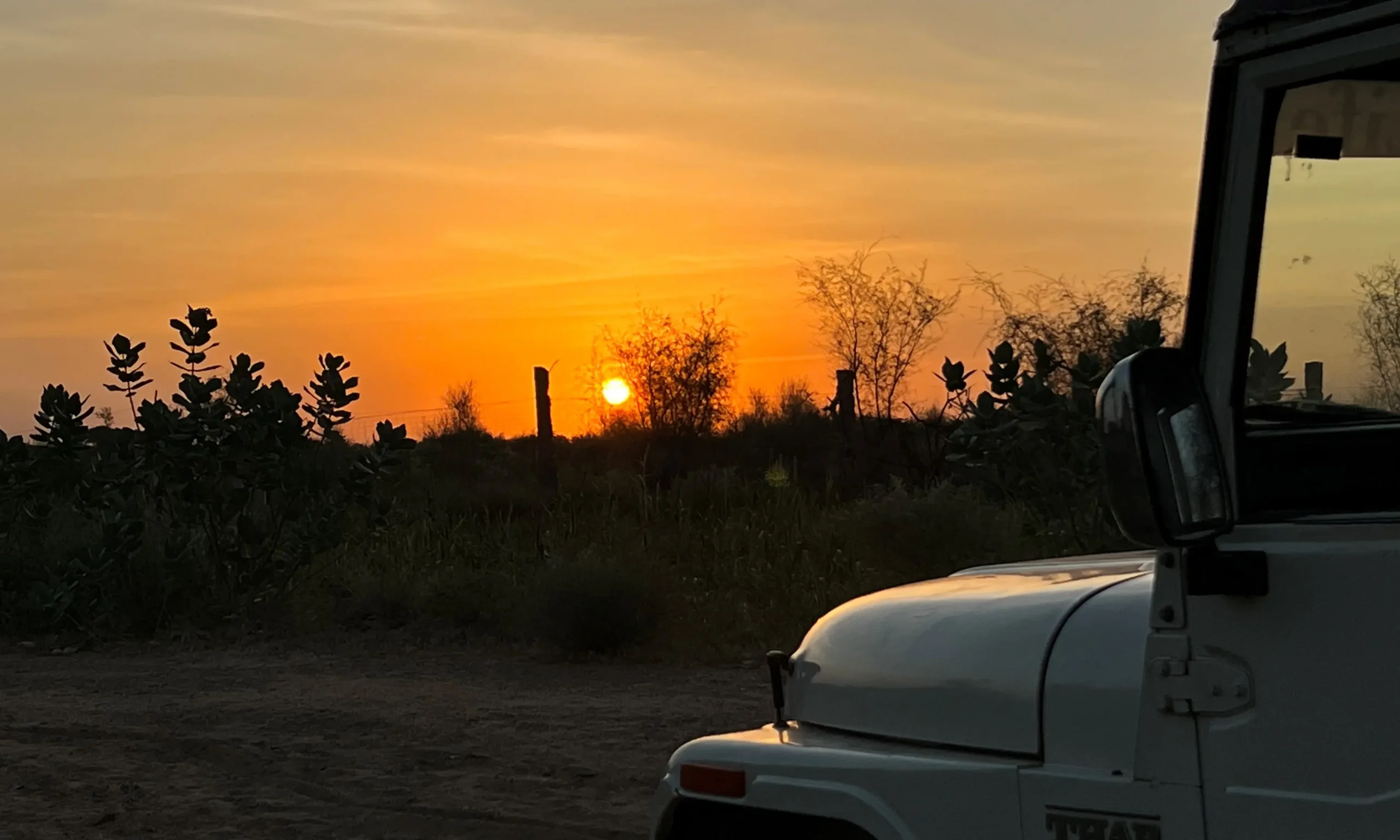 jeep safari